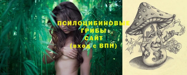 2c-b Медногорск