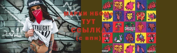 шишки Мегион